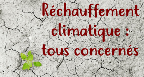 rechauffement_climatique.png