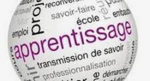 Les aides à l&rsquo;apprentissage prolongées « au moins jusqu&rsquo;à la fin de l&rsquo;année » pour les entreprises