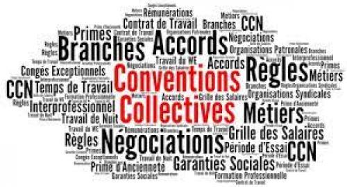 Visioconférence : informations Convention Collective