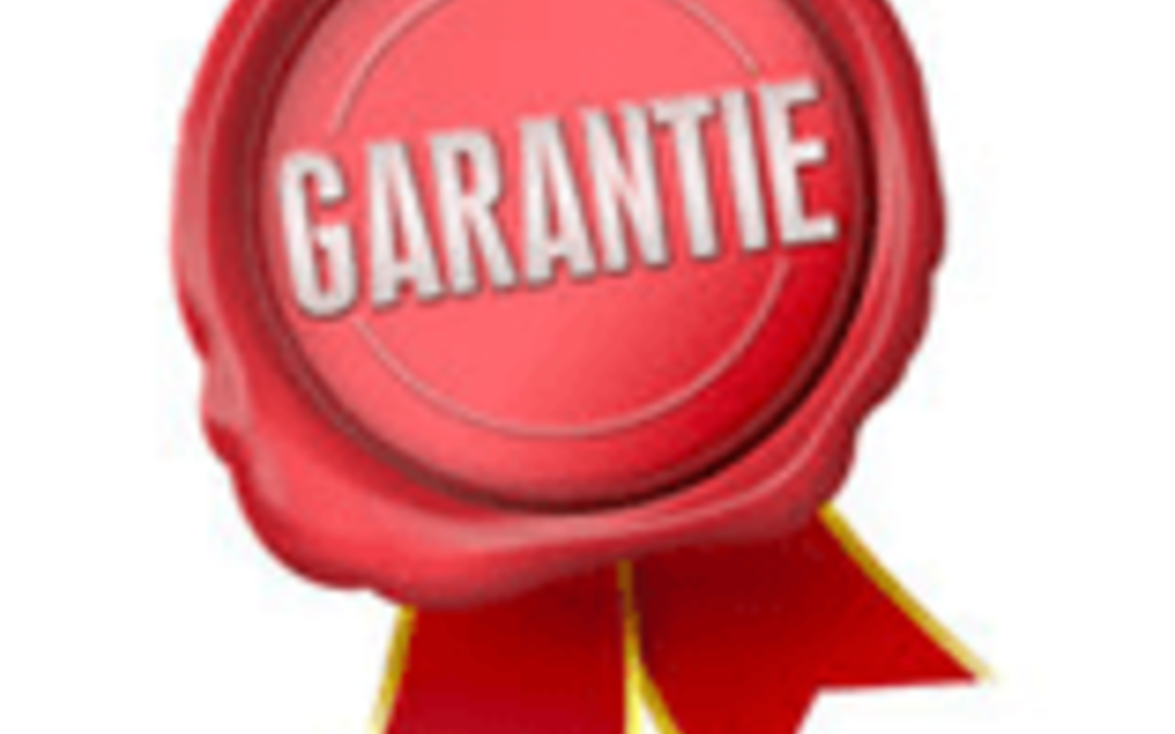 NOUVEL ENCADRE JURIDIQUE OBLIGATOIRE POUR LES VENTES DE BIENS, CONTENUS ET SERVICES NUMERIQUES