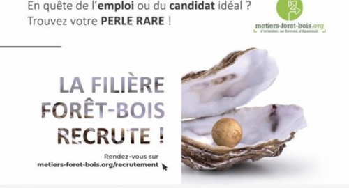 Une bourse emploi gratuite pour les recruteurs et candidats